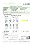 213915604.webp